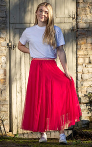 Tulle Layer Net Skirt - Pink